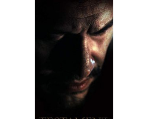 Testament  (фильм 2017) смотреть онлайн