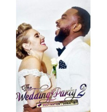 The Wedding Party 2: Destination Dubai (2017)