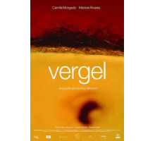 Vergel (2017)