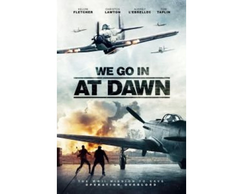 We Go in at Dawn  (фильм 2020) смотреть онлайн