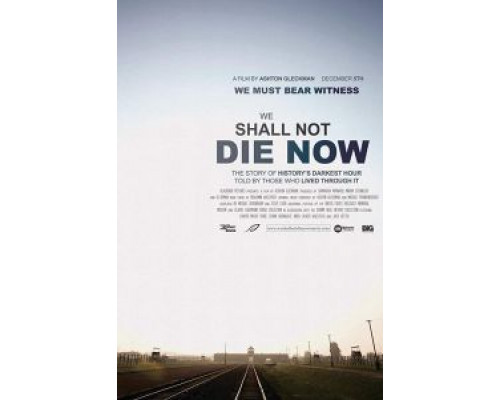 We Will Not Die Tonight  (фильм 2018) смотреть онлайн