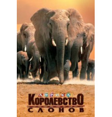 Африка – королевство слонов (1998)