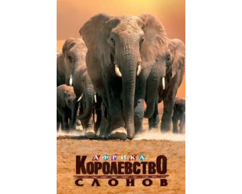 Африка – королевство слонов  (фильм 1998) смотреть онлайн