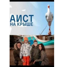 Аист на крыше (2021)