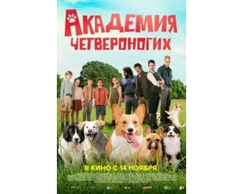 Академия четвероногих  (фильм 2024) смотреть онлайн
