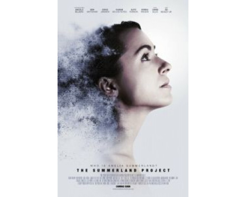 Амелия 2.0  (фильм 2016) смотреть онлайн