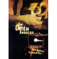 Андалузский пес (1929)