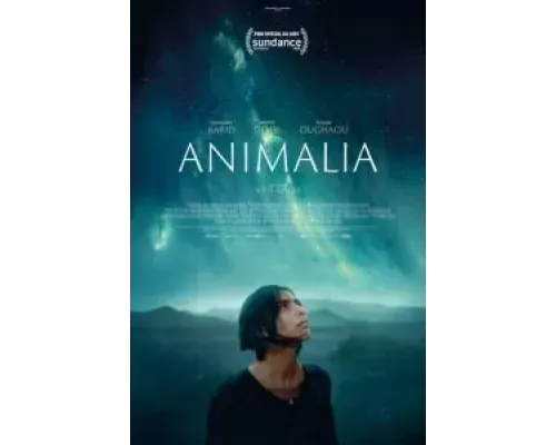 Анималия  (фильм 2023) смотреть онлайн