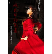 Балет в пламени войны (2015)