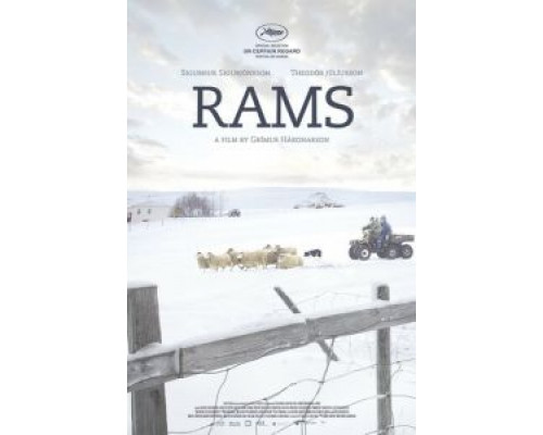 Бараны  (фильм 2015) смотреть онлайн