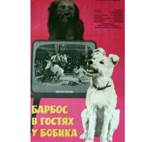 Барбос в гостях у Бобика (1964)