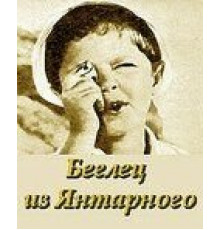 Беглец из «Янтарного» (1969)