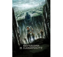 Бегущий в лабиринте (2014)