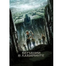 Бегущий в лабиринте (2014)