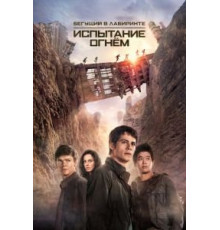 Бегущий в лабиринте: Испытание огнём (2015)