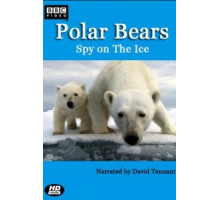 Белый медведь: Шпион во льдах (2011)