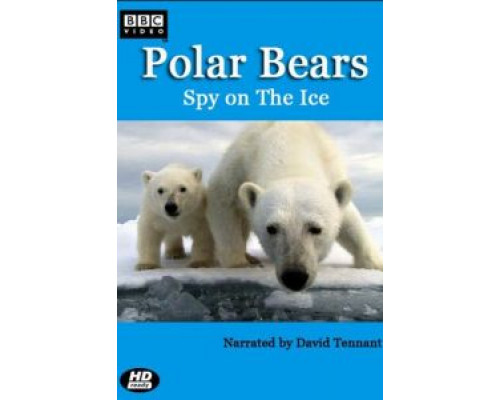 Белый медведь: Шпион во льдах  (фильм 2011) смотреть онлайн