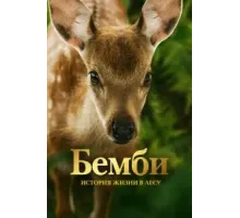 Бемби. История жизни в лесу (2024)