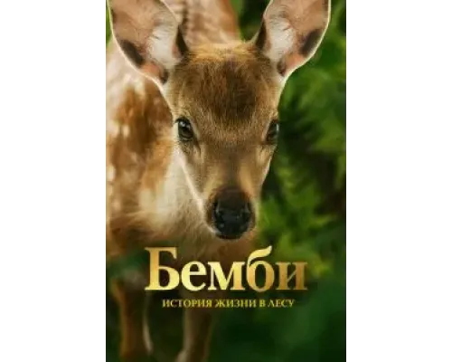 Бемби. История жизни в лесу  (фильм 2024) смотреть онлайн