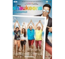 Бес в ребро (2014)