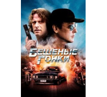 Бешеные гонки (2013)