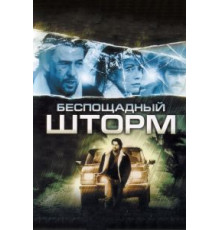 Беспощадный шторм (2010)