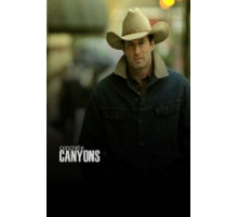 Бетонные ущелья (2010)