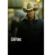 Бетонные ущелья (2010)