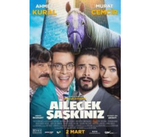 Безумная семейка (2018)