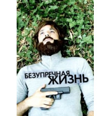 Безупречная жизнь (2018)