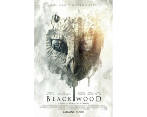 Блэквуд  (фильм 2014) смотреть онлайн