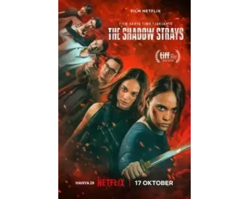 Блуждающая тень  (фильм 2024) смотреть онлайн