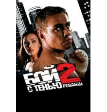 Бой с тенью 2: Реванш (2007)