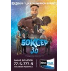 Боксер 3D (2004)