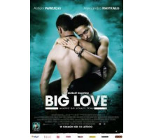 Большая любовь (2012)