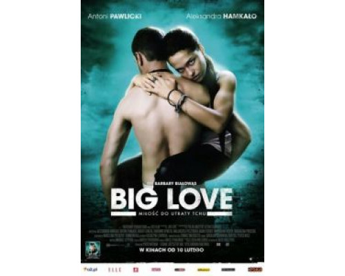 Большая любовь  (фильм 2012) смотреть онлайн