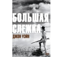 Большая слежка (1930)