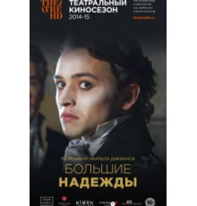 Большие надежды (2013)