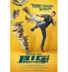 Большой брат (2018)