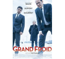 Большой холод (2017)