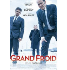 Большой холод (2017)