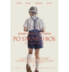 Босиком по стерне (2017)