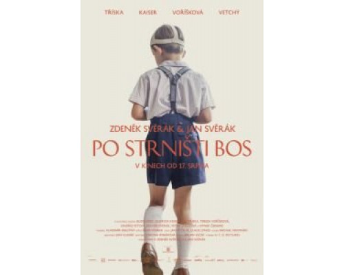 Босиком по стерне  (фильм 2017) смотреть онлайн