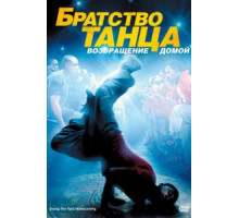Братство танца: Возвращение домой (2010)