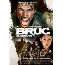 Брук. Вызов (2010)