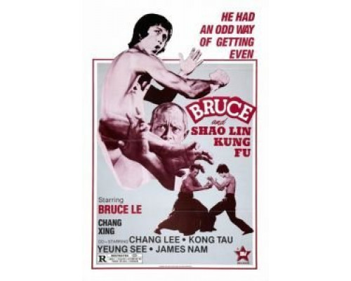 Брюс и кунг-фу монастыря Шао-Линь  (фильм 1977) смотреть онлайн