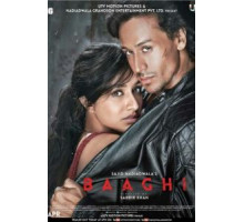 Бунтарь (2016)