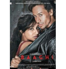 Бунтарь (2016)