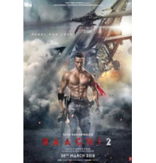 Бунтарь 2 (2018)