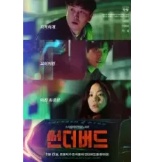 Буревестник (2022)